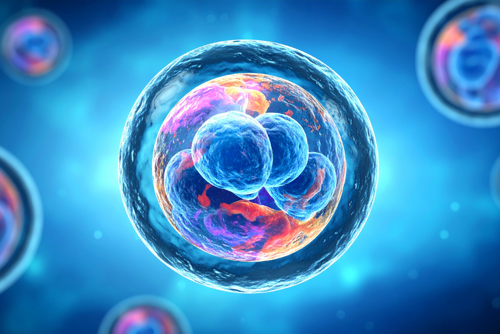 พัฒนาการทารกในครรภ์เดือนที่ 1