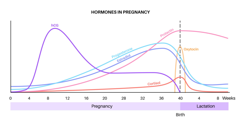 การเปลี่ยนแปลงของฮอร์โมน